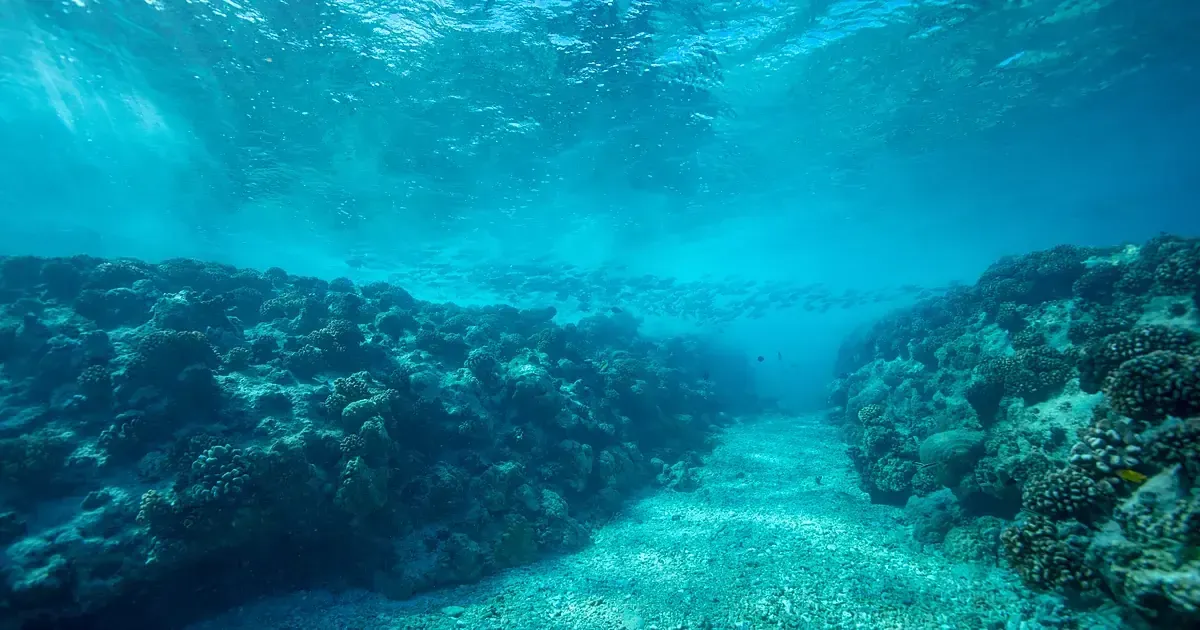 Récif corallien sous une eau turquoise, massifs sombres et lumière descendant de la surface