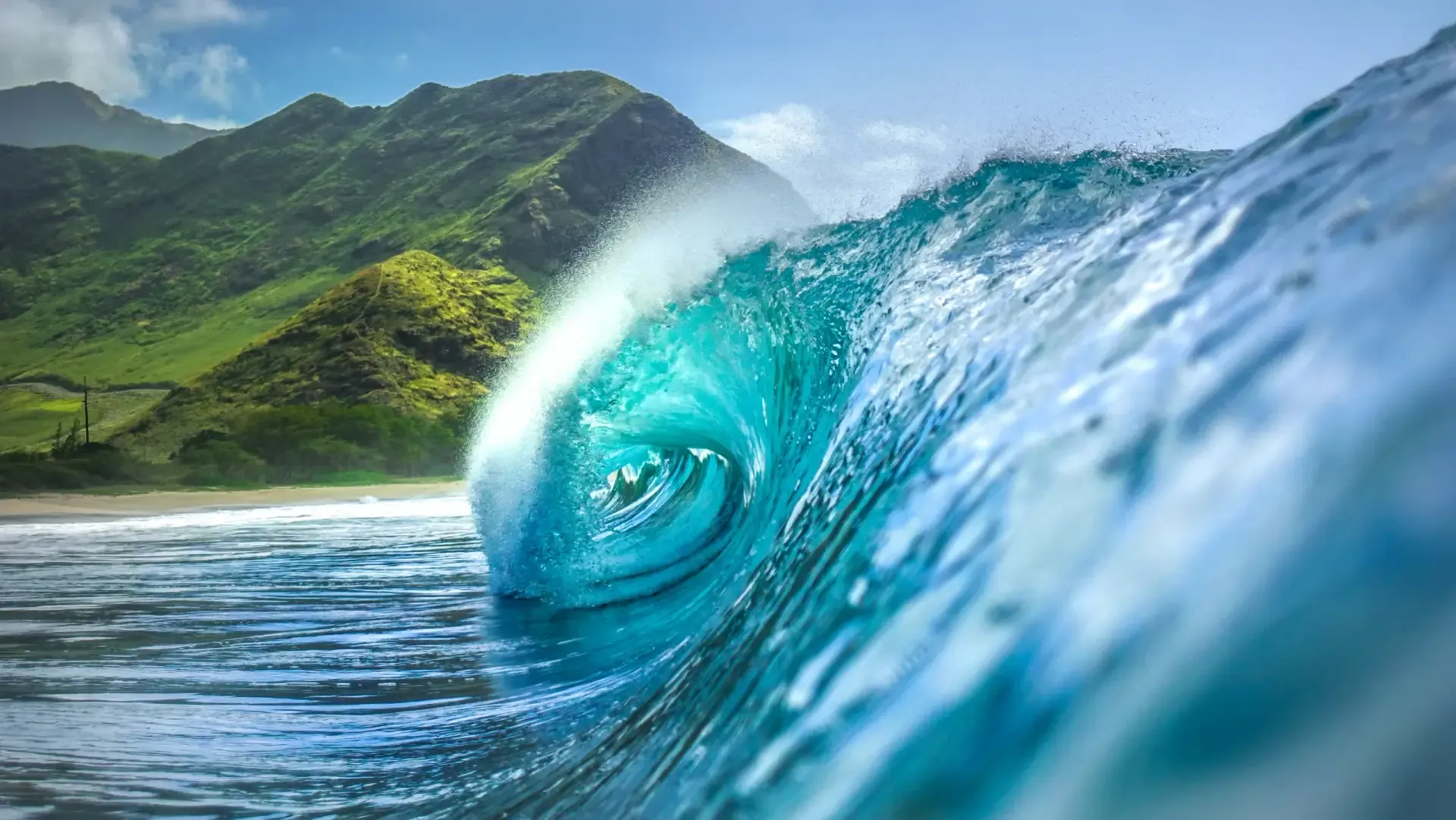 Vague turquoise en train de dérouler devant une côte verdoyante